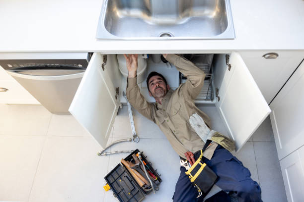Best Sewer Line Repair  in Collinsville, AL